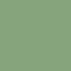 Pale green RAL 6021 KSK-175